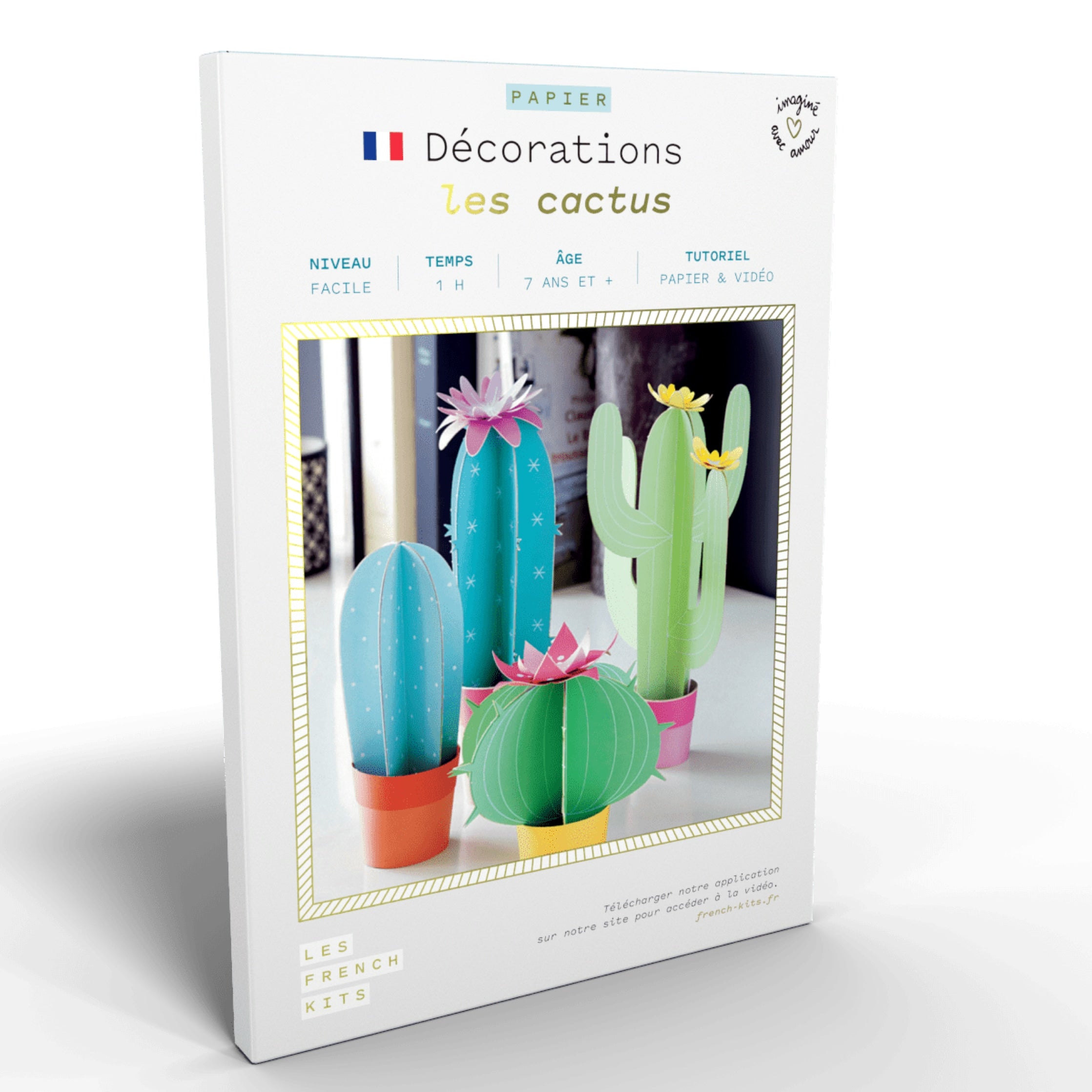kit création de cactus en papier